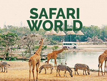 Safari World - Vườn thú lớn nhất tại xứ sở chùa vàng